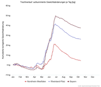 Trachtnet